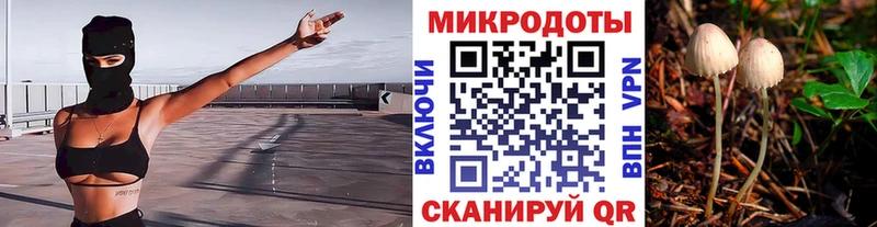 Псилоцибиновые грибы Psilocybine cubensis  Скопин 